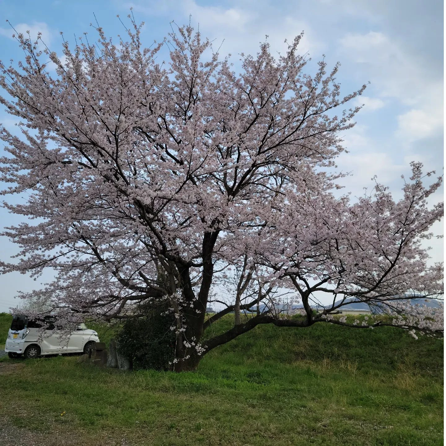 画像249
